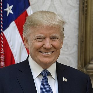Official White House Portrait of President Donald Trump (2017) by Shealeah Craighead, Public Domain