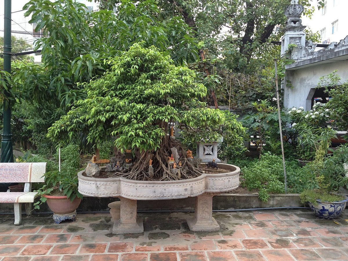 Bich Cau Taoist Temple