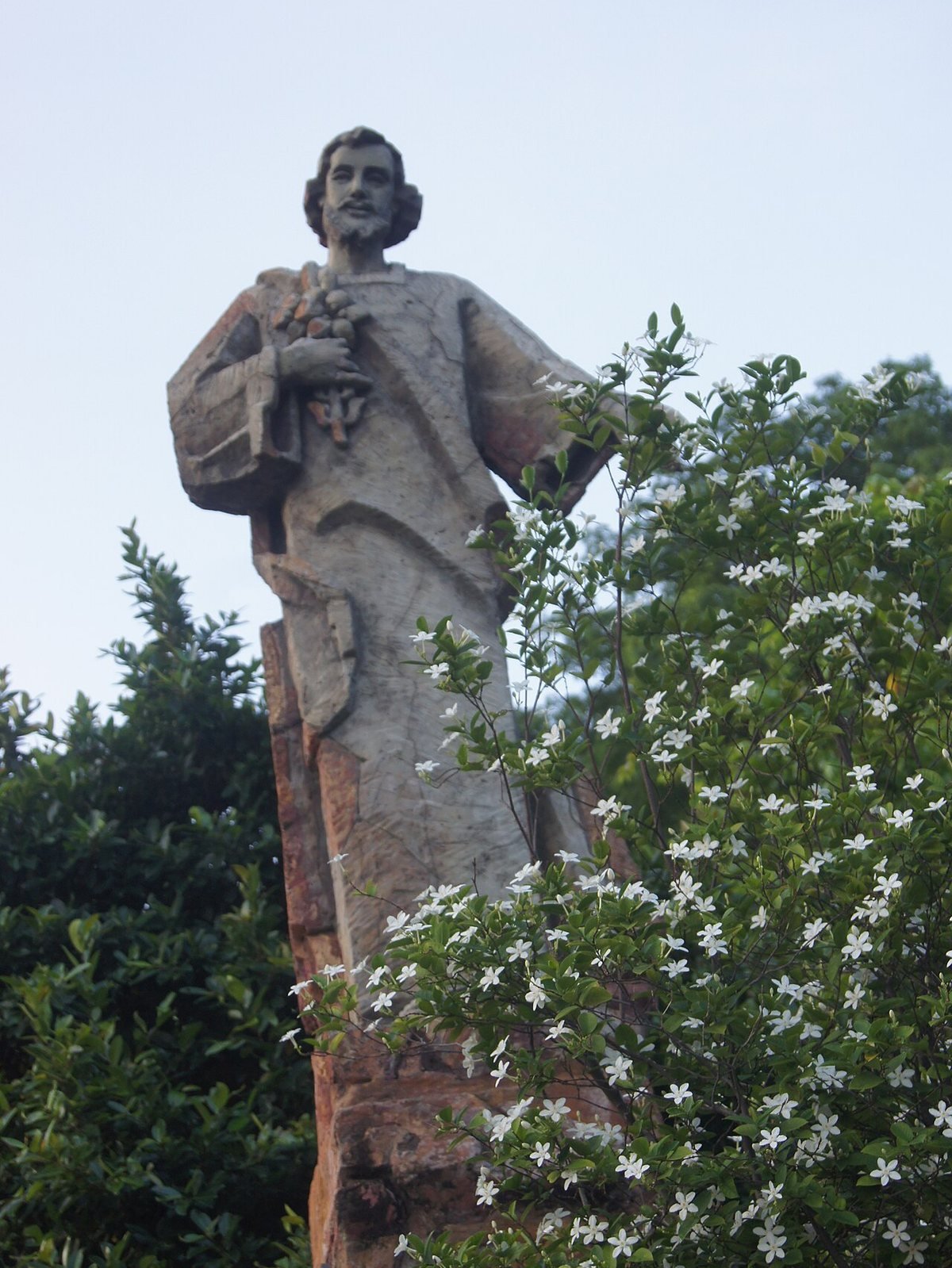Our Lady of Bai Dau Shrine