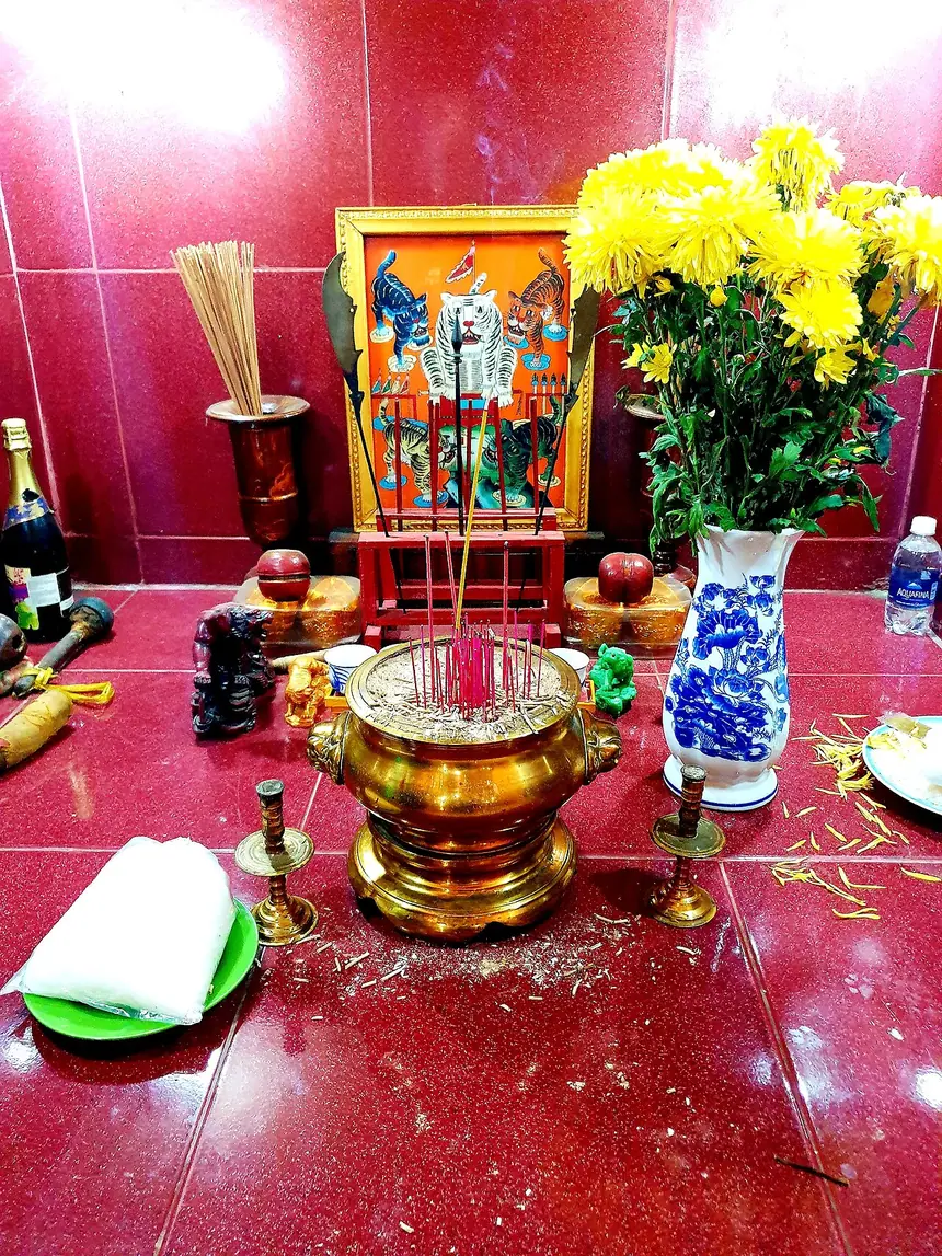 Ban Ngũ Hổ ở hạ ban, dưới ban thờ chính của một đền thờ Đức Thánh Trần ở Tân Phú, Thành phố Hồ Chí Minh, ảnh chụp năm 2022: bức tranh hổ nhỏ, bát hương, trứng và gạo muối.