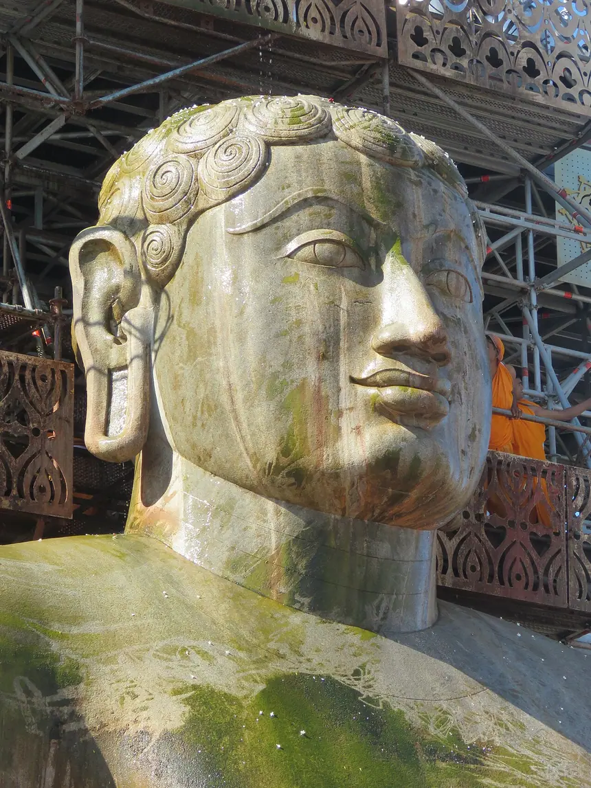Cận cảnh đầu tượng Bahubali ở Shravanabelagola: tóc xoắn, dái tai dài. Ảnh chụp năm 2018.