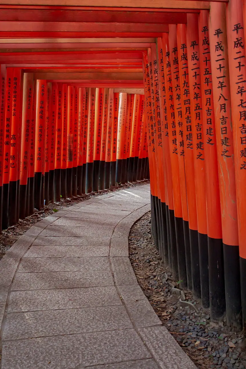 Dãy cổng torii nối nhau (senbon torii) ở đền Fushimi Inari, Kyoto. Mỗi cổng là một lễ vật do người cúng dâng. Ảnh năm 2019.