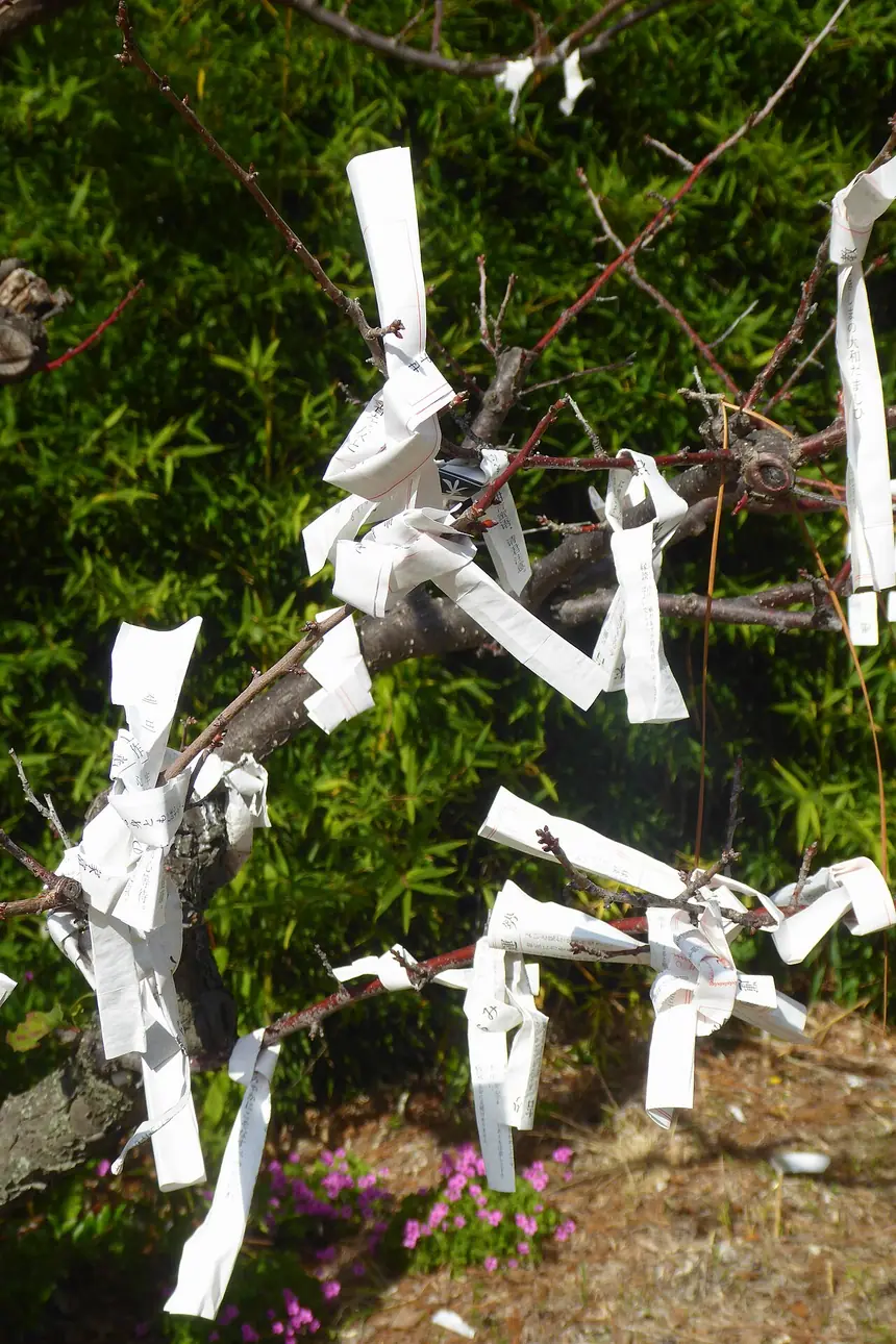 Các lá xăm omikuji buộc lên cành cây ở đền Hōkoku, Osaka. Ảnh năm 2019.