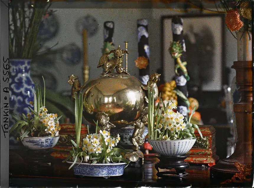 Bàn thờ tổ tiên bày hoa thủy tiên dịp Tết, Hà Đông, ảnh autochrome của Léon Busy, tháng 2 năm 1915. Lưu trữ Albert Kahn.