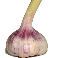 Small Plate of Five Fresh Garlic Bulbs