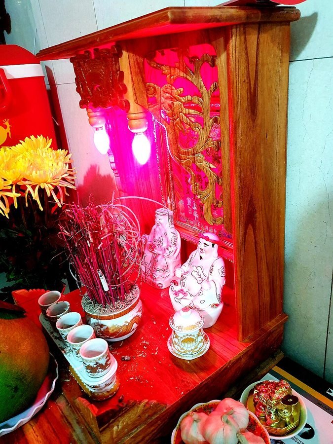 Authentic God of Wealth and Earth Deity floor shrine. Looking into the floor shrine: the God of Wealth sits on the left and the Earth Deity on the right, with a central incense bowl, five water cups in a row, yellow chrysanthemums on the right and pomelo with five garlic cloves on the left.